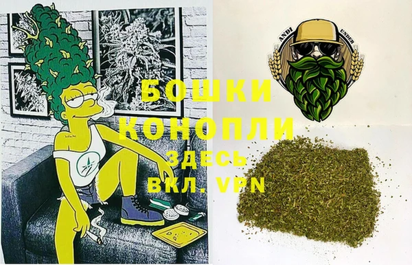PSILOCYBIN Алексин