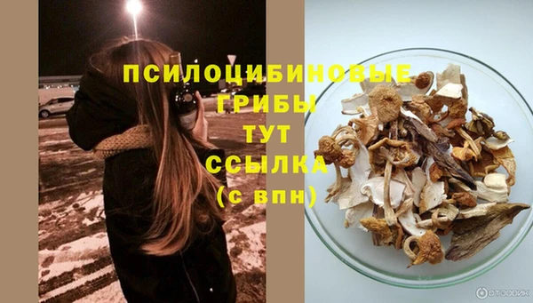 PSILOCYBIN Алексин