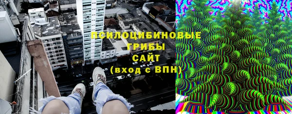 сатива Алзамай