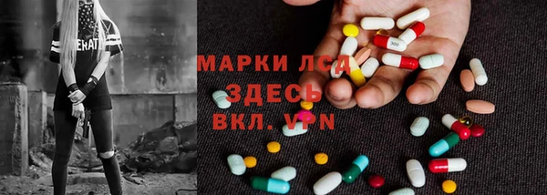 сатива Алзамай