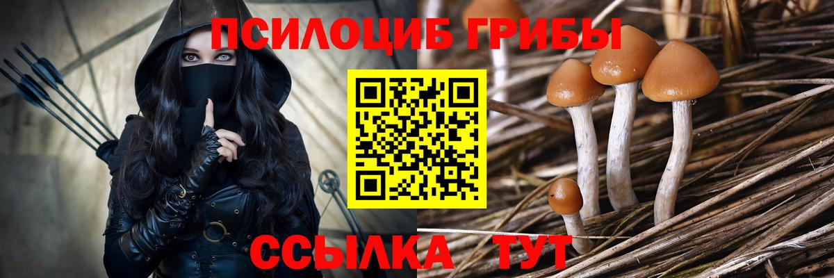 Серов  Галлюциногенные грибы Cubensis  Вход с VPN  Галлюциногенные грибы Psilocybine cubensis 
