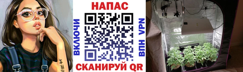 Канабис AK-47  Серов 