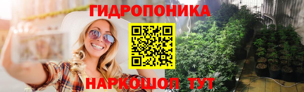 Шишки марихуана марихуана Серов
